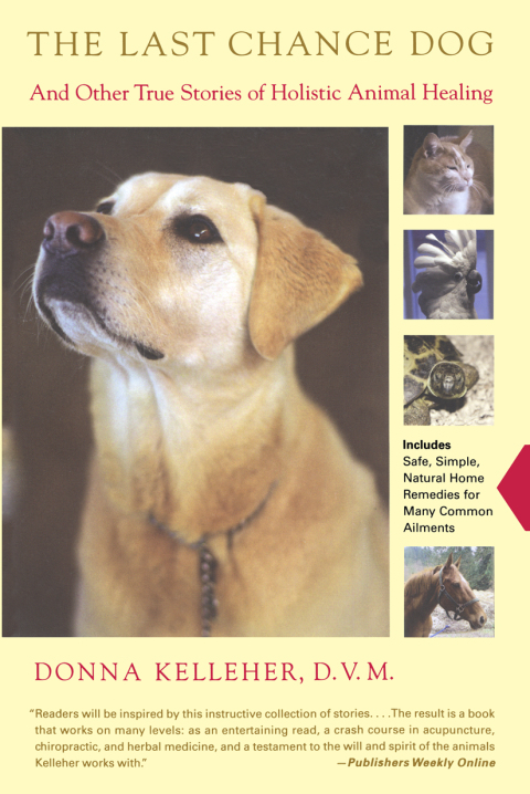 Cover image for book The Last Chance Dog