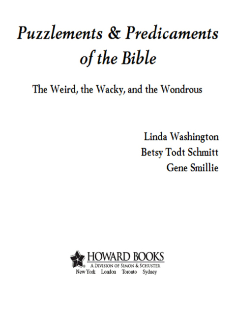 Cover image for book Puzzlements & Predicaments of the Bible
