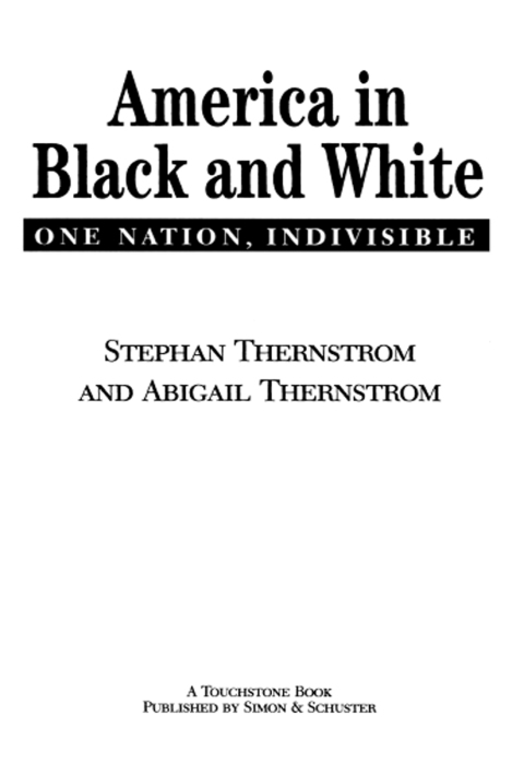 Cover image for book America in Black and White