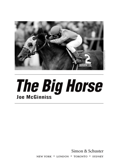 Cover image for book The Big Horse
