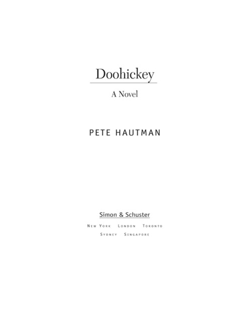 Cover image for book Doohickey