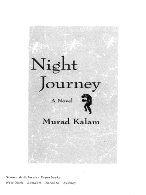 Cover image for book Night Journey