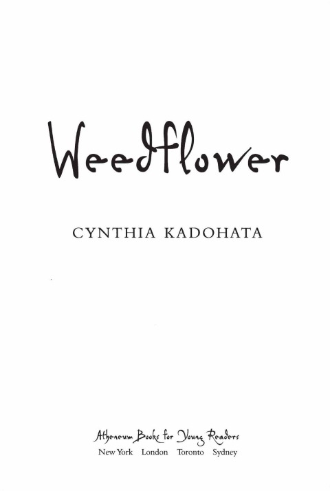 Cover image for book Weedflower
