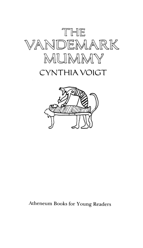 Cover image for book The Vandemark Mummy