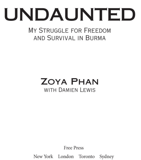 Cover image for book Undaunted