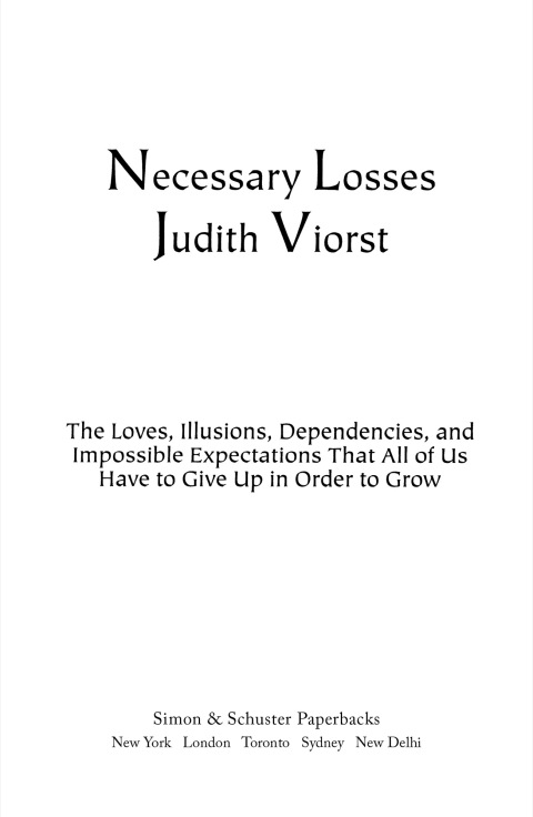 Cover image for book Necessary Losses