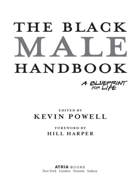 Cover image for book The Black Male Handbook