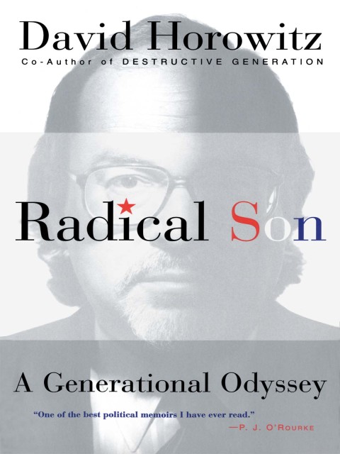 Cover image for book Radical Son