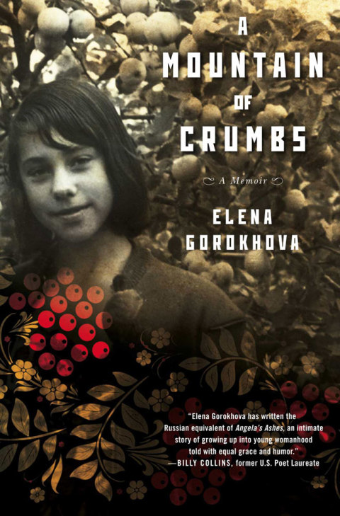 Cover image for book A Mountain of Crumbs