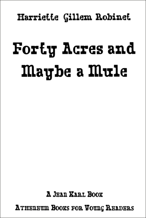 Cover image for book Forty Acres and Maybe a Mule