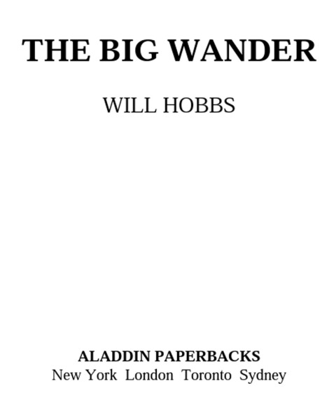 Cover image for book The Big Wander