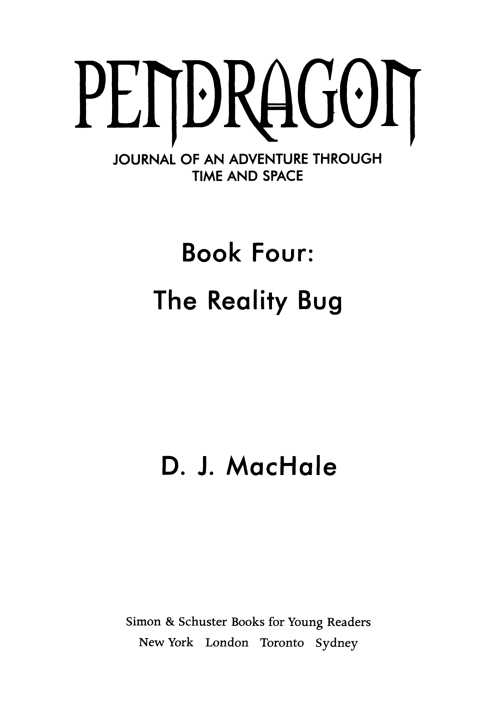 Cover image for book The Reality Bug