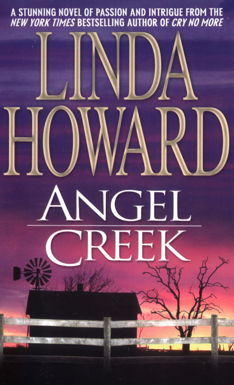 Cover image for book Angel Creek