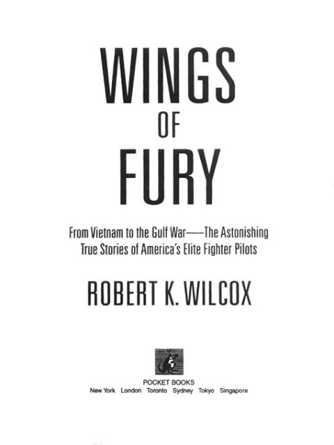 Cover image for book Wings of Fury
