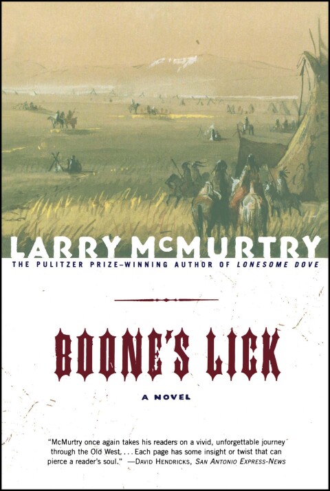 Cover image for book Boone's Lick