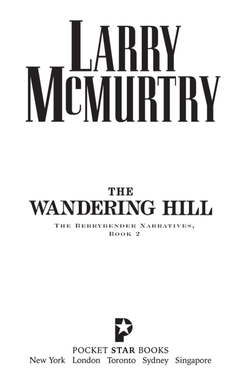 Cover image for book The Wandering Hill