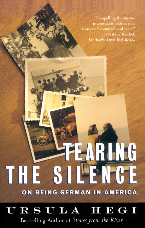 Cover image for book Tearing the Silence