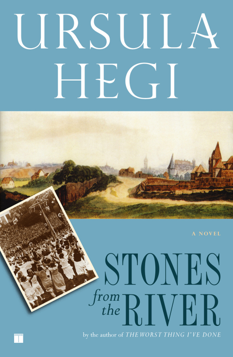 Cover image for book Stones from the River