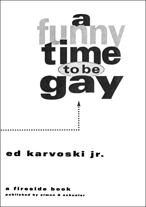 Cover image for book A Funny Time to Be Gay