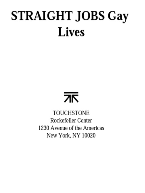 Cover image for book Straight Jobs Gay Lives