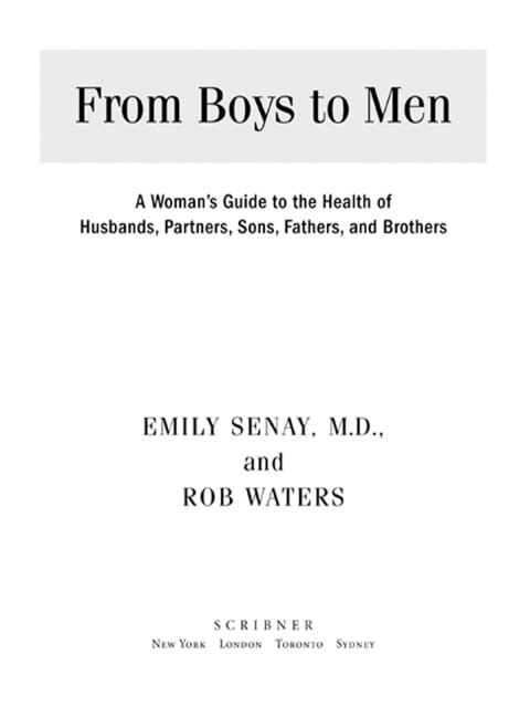 Cover image for book From Boys to Men