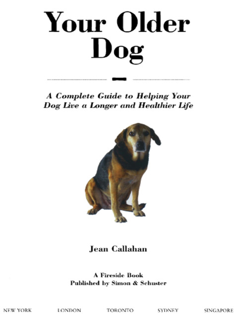 Cover image for book Your Older Dog