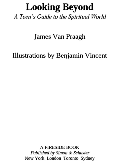Cover image for book Looking Beyond