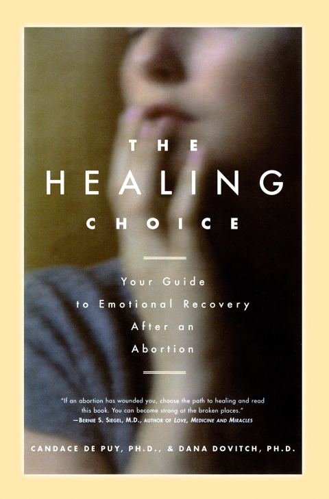 Cover image for book The HEALING CHOICE