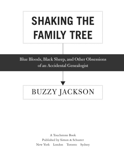 Cover image for book Shaking the Family Tree