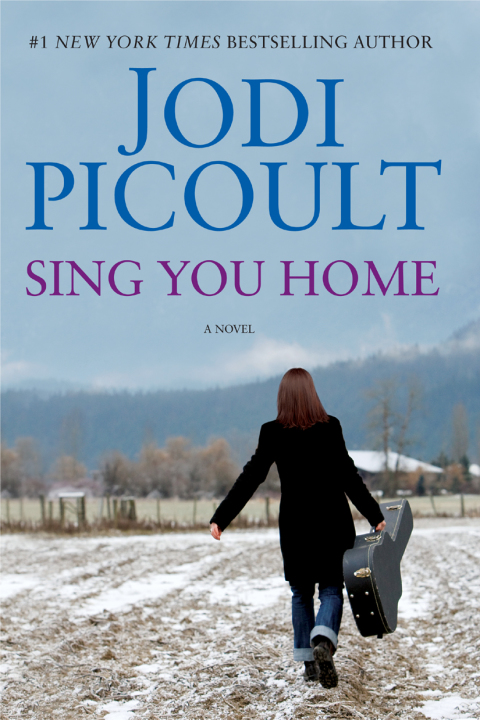 Cover image for book Sing You Home