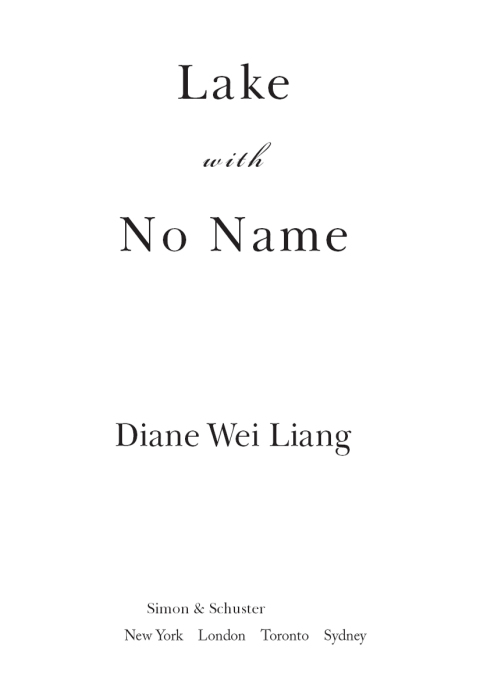 Cover image for book Lake with No Name