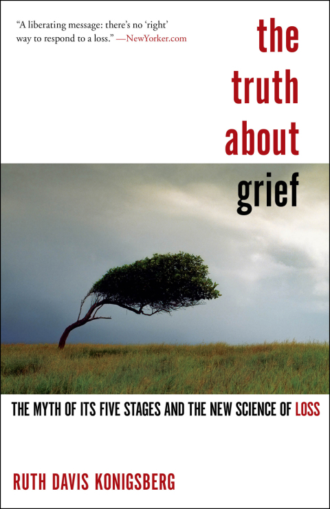 Cover image for book The Truth About Grief