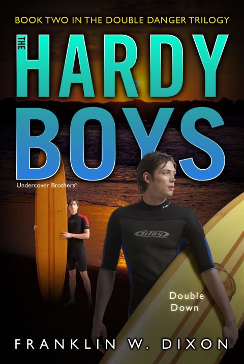 Cover image for book Double Down