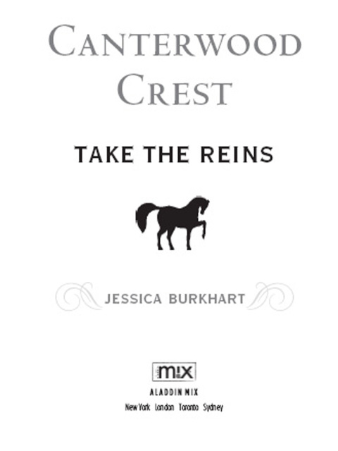 Cover image for book Take the Reins