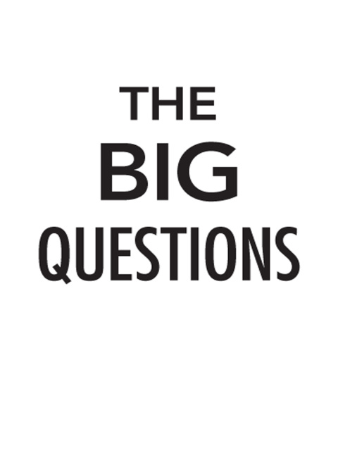 Cover image for book The Big Questions