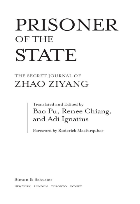 Cover image for book Prisoner of the State