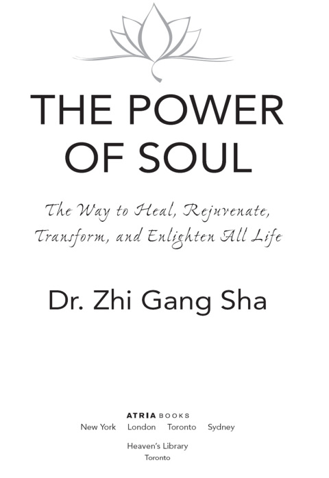 Cover image for book The Power of Soul
