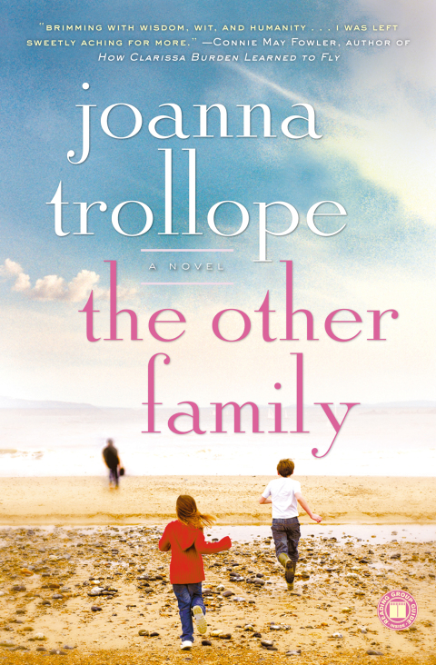 Cover image for book The Other Family