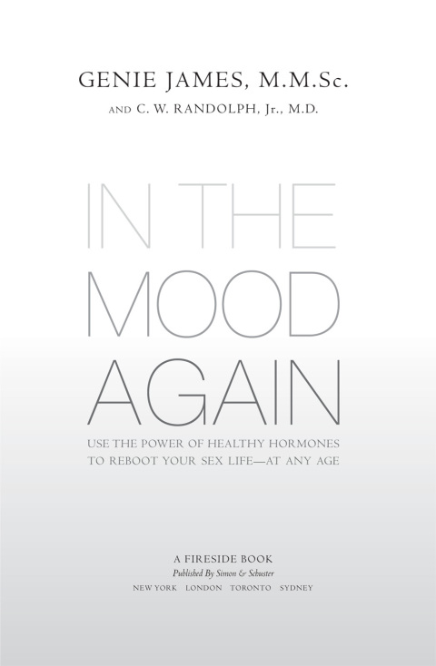 Cover image for book In the Mood Again