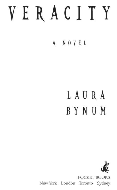 Cover image for book Veracity