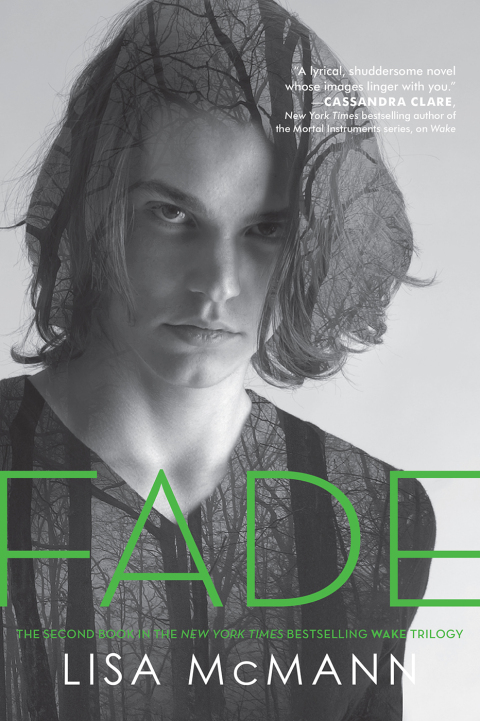 Cover image for book Fade