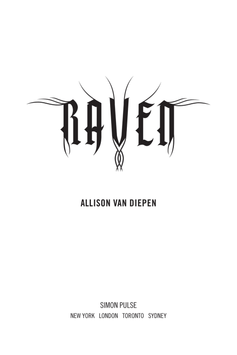 Cover image for book Raven