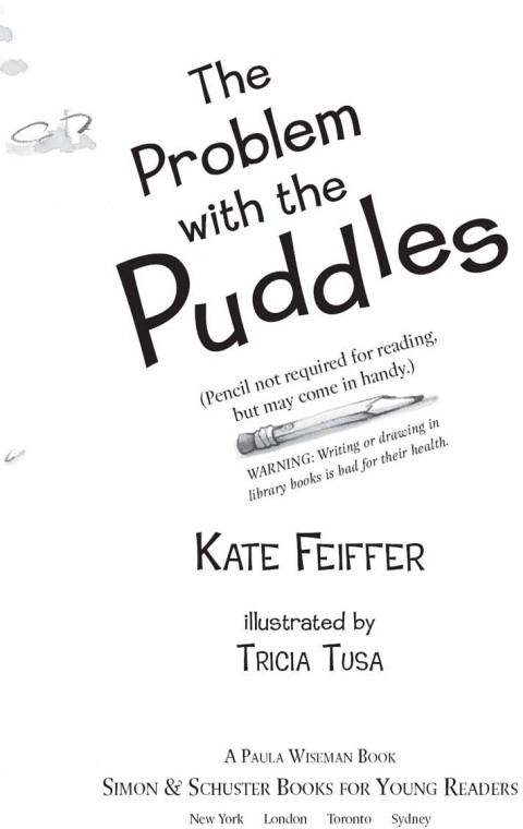 Cover image for book The Problem with the Puddles