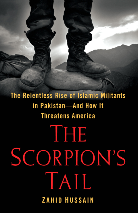 Cover image for book The Scorpion's Tail
