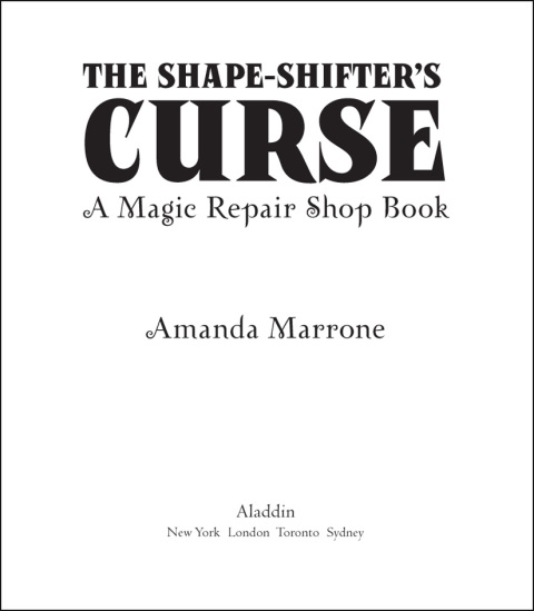 Cover image for book The Shape-Shifter's Curse