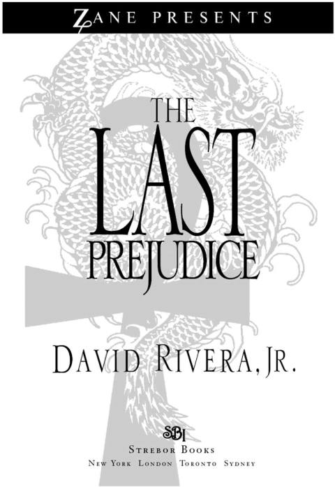Cover image for book The Last Prejudice