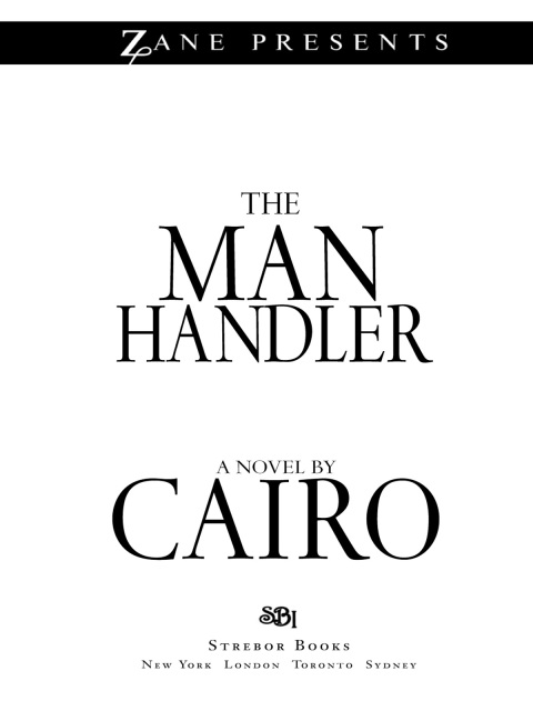Cover image for book The Man Handler