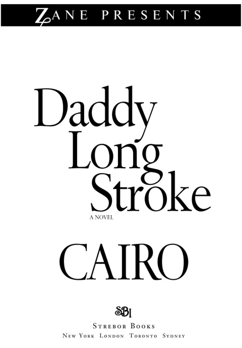 Cover image for book Daddy Long Stroke