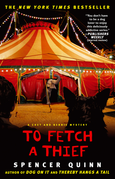 Cover image for book To Fetch a Thief