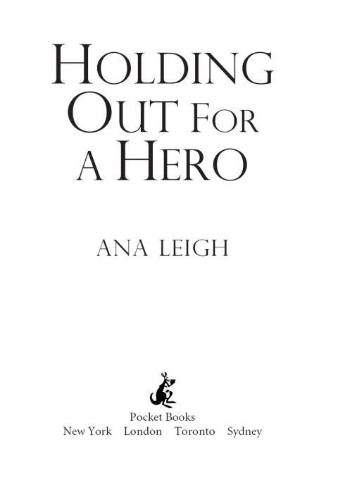 Cover image for book Holding Out for a Hero